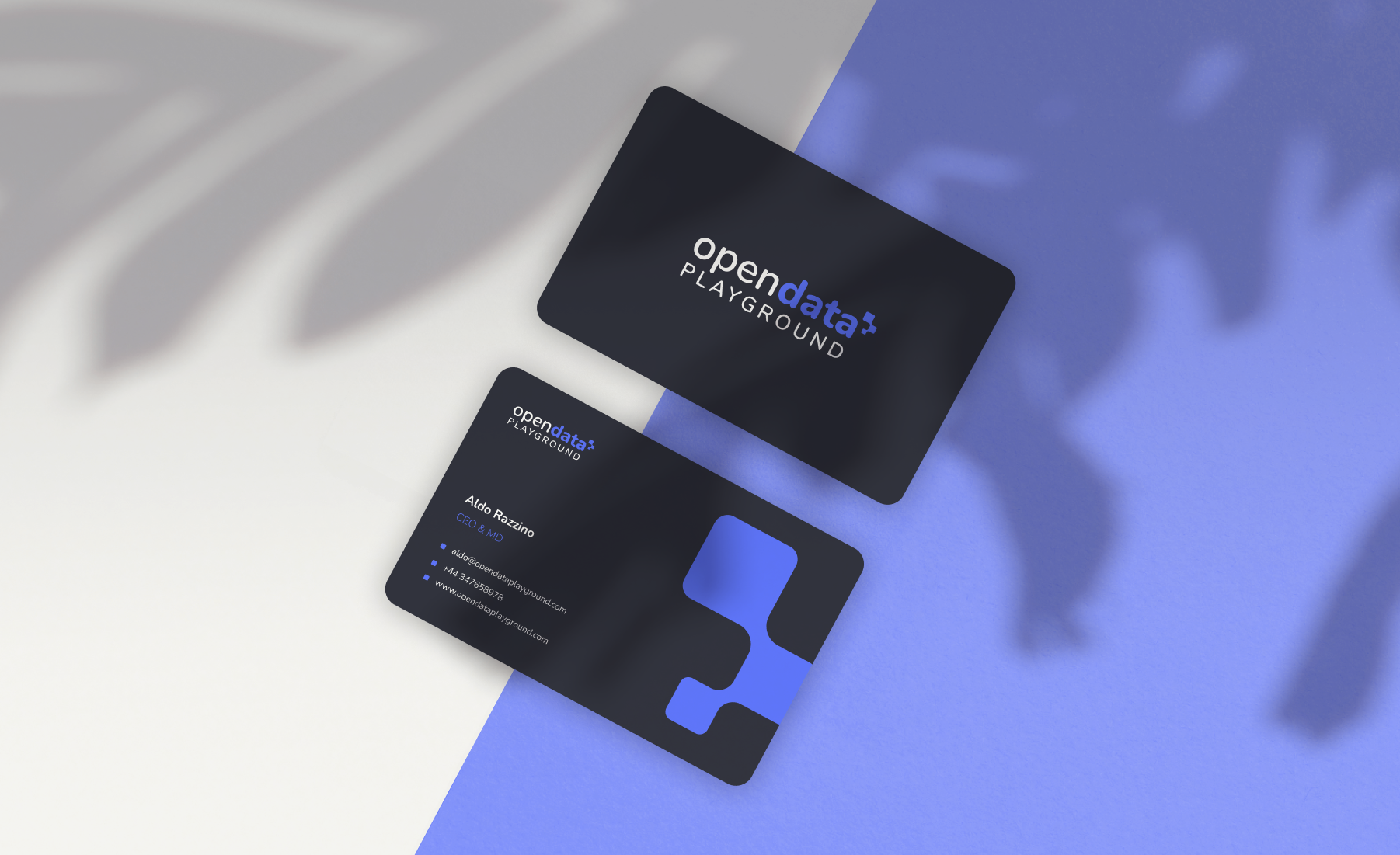Open Data Playground, Brand Identity